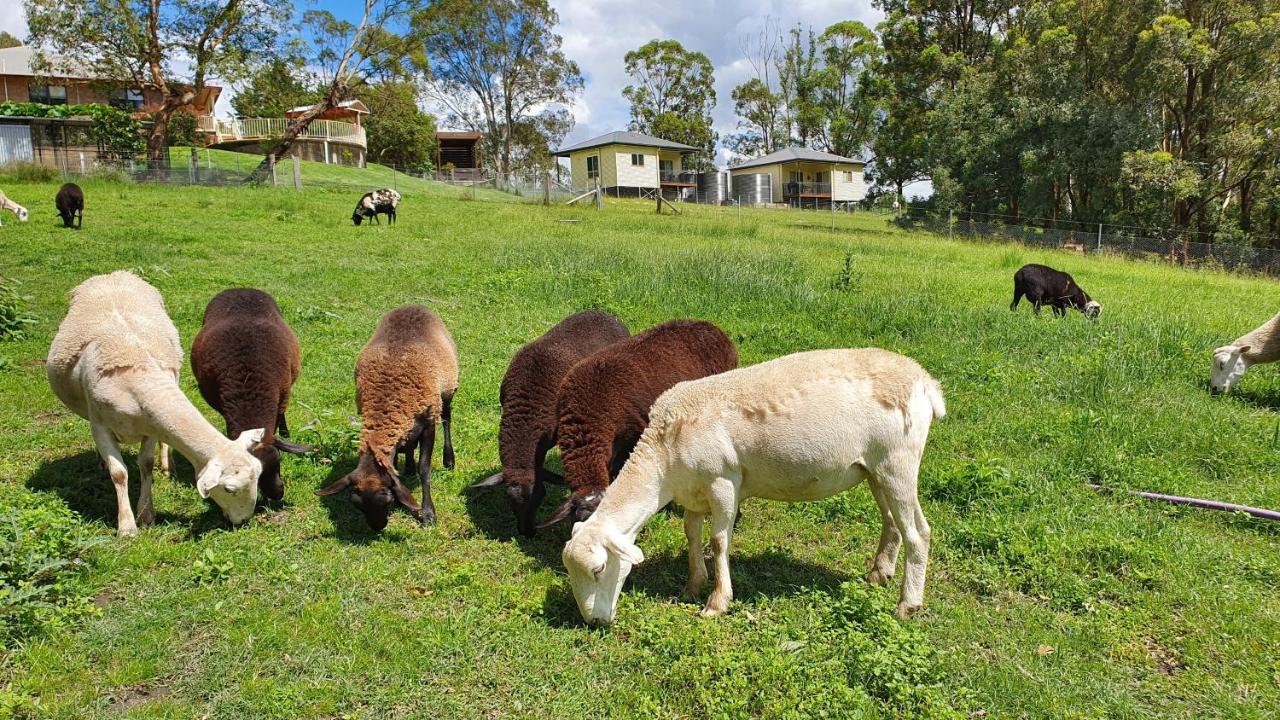 Blueberry Hills On Comleroy Farmstay - Self-Contained Cottages Kurrajong Экстерьер фото