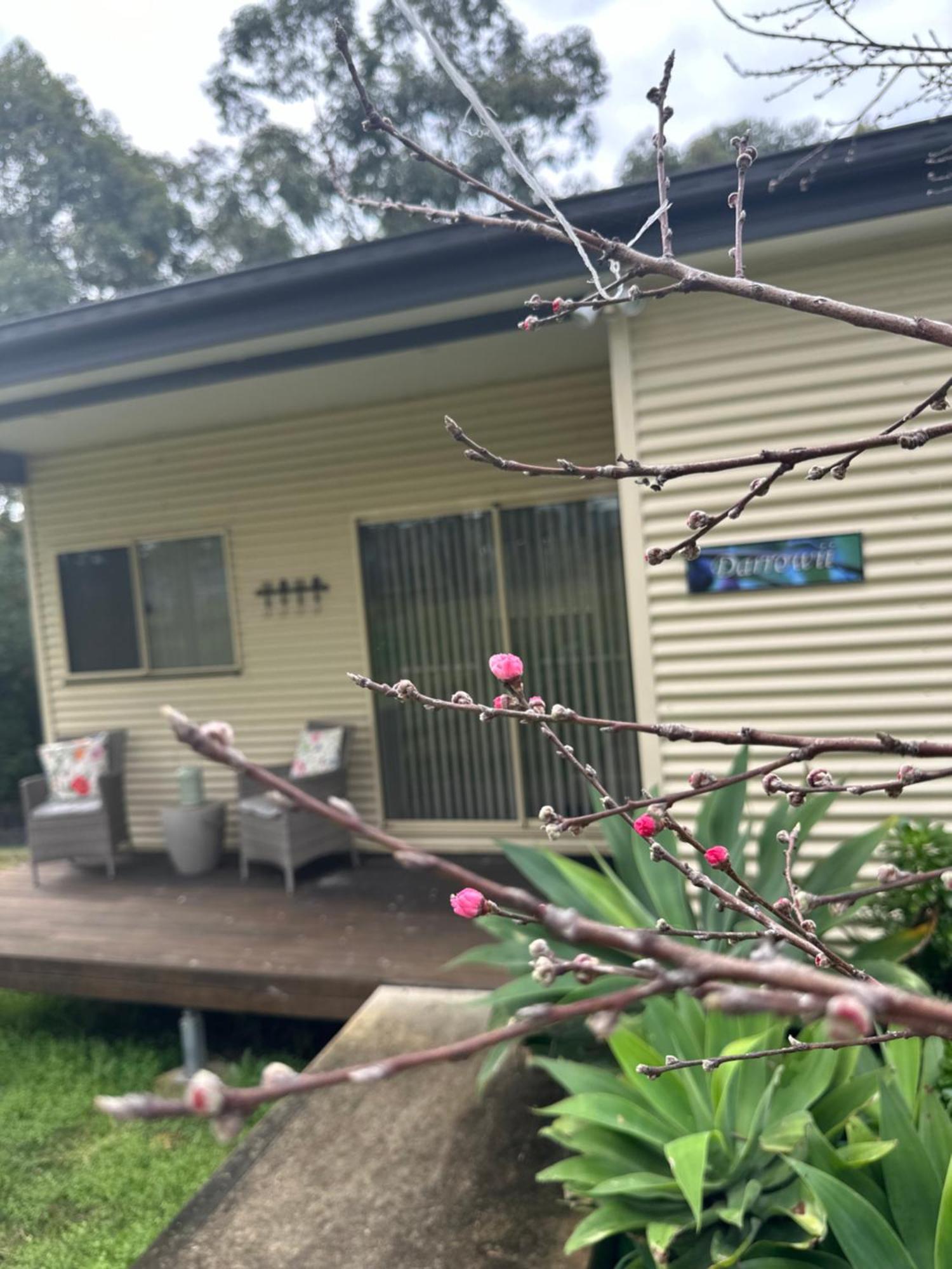 Blueberry Hills On Comleroy Farmstay - Self-Contained Cottages Kurrajong Экстерьер фото