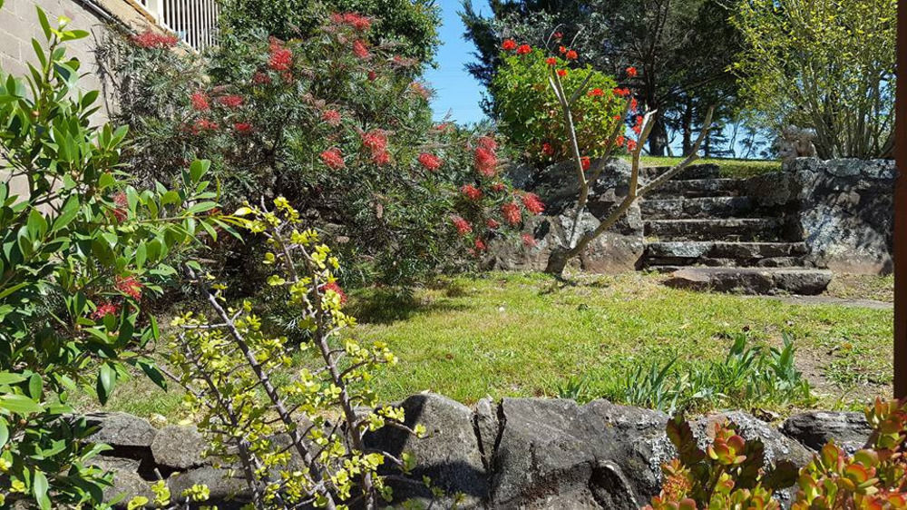 Blueberry Hills On Comleroy Farmstay - Self-Contained Cottages Kurrajong Экстерьер фото