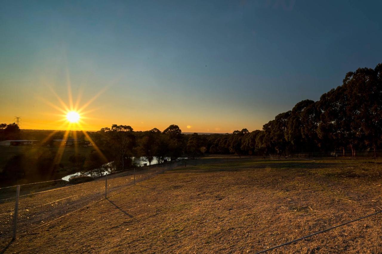 Blueberry Hills On Comleroy Farmstay - Self-Contained Cottages Kurrajong Экстерьер фото